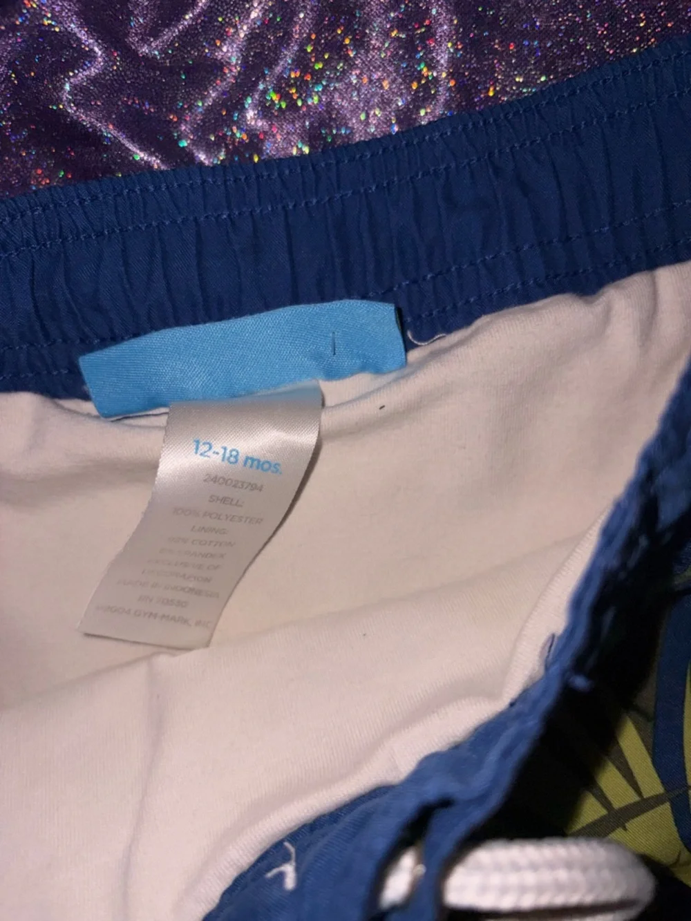 Boys Gymboree Bugs Swim Trunks